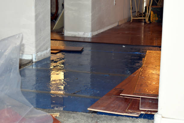 Professional Basement Flood Cleanup technician working in Coldwater, MI